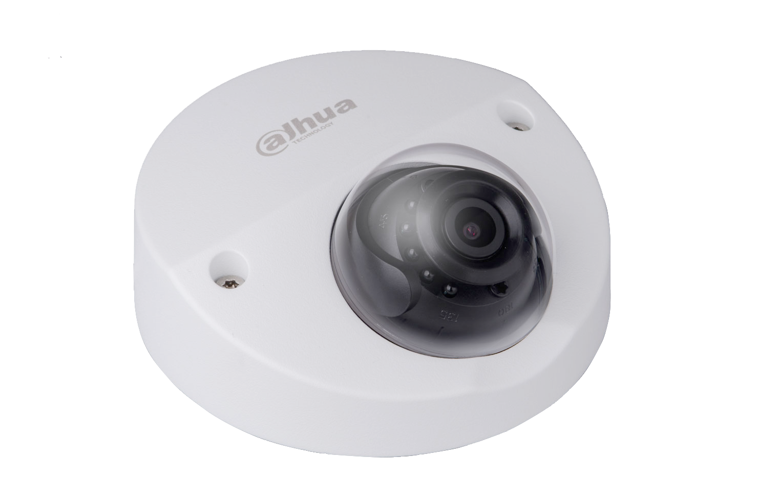 Dahua hidden ip hot sale camera